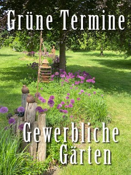 Gewerbe - Grüne Termine