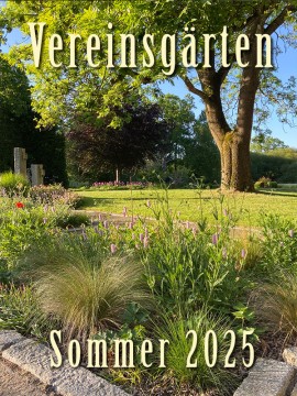 Vereinsgärten - Sommer